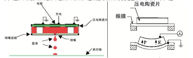 首页 > 新闻媒体  由一压电陶瓷片(piezoceramic),振膜(diaphragm)